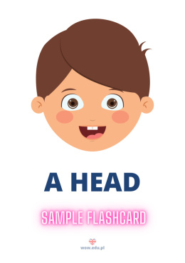 Body Parts - flashcards for beginners