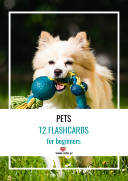 Pets - flashcards for beginners